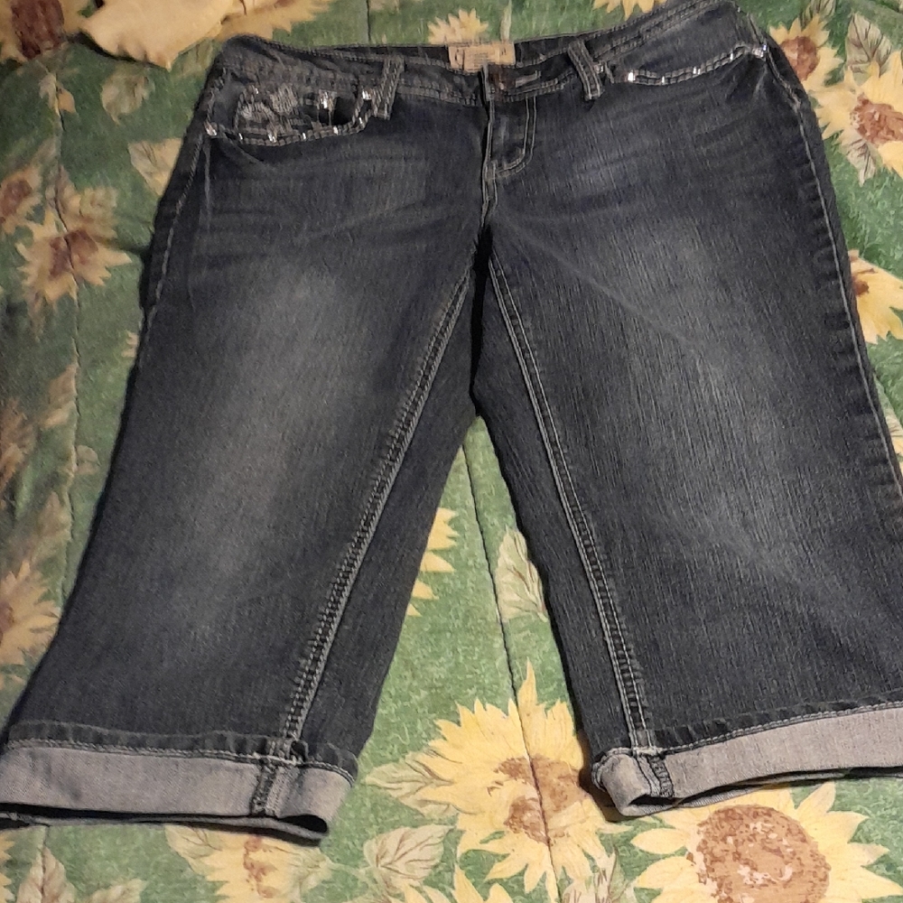 Earl Blue Ankle Cropped Jeans with Cuffed Hem Size 8
